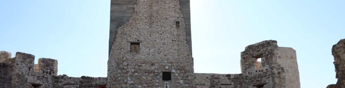 Castillo de Puñonrostro
