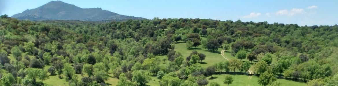 Paraje de Peña Rubia, en Guadalix de la Sierra