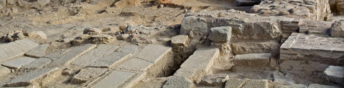 Yacimiento La Mezquita