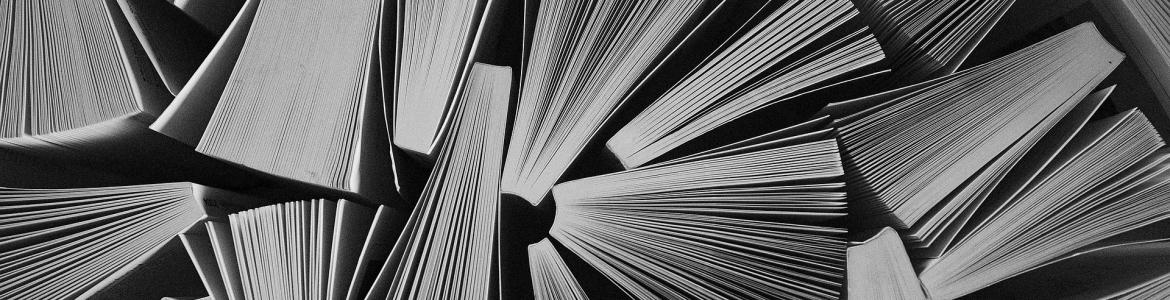 Composición con libros  semiabiertos