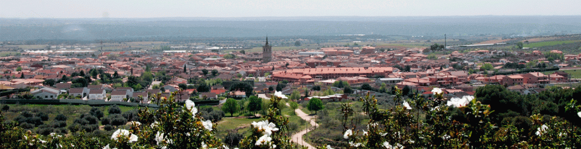 Villa del prado