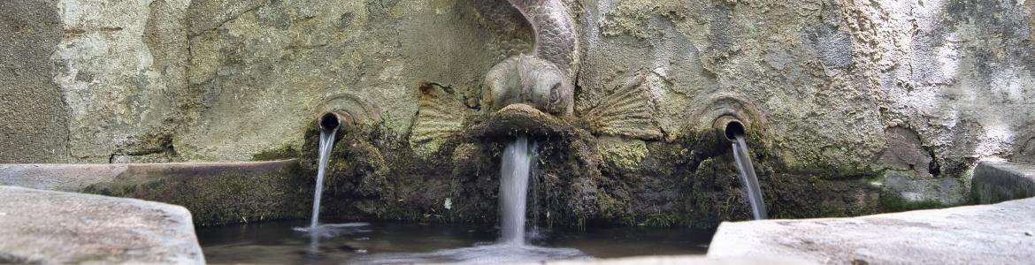 Tritón de Torre arias