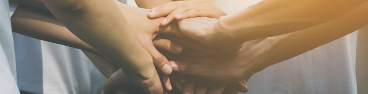 Voluntariado internacional