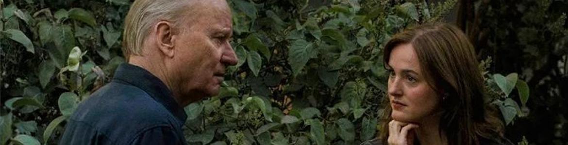 Valor sentimental E E