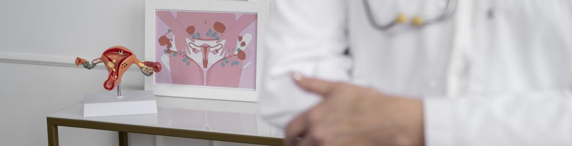 Curso Endometriosis La Paz