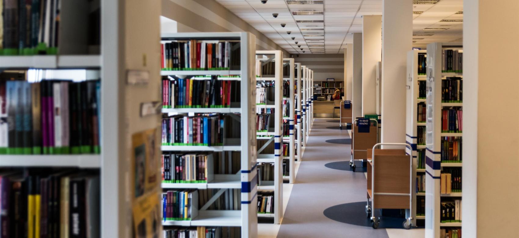 Interior biblioteca