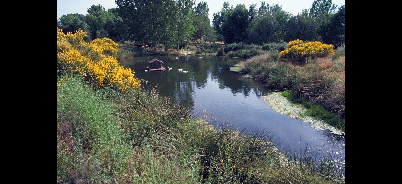 Parque Lineal del río Guadalix