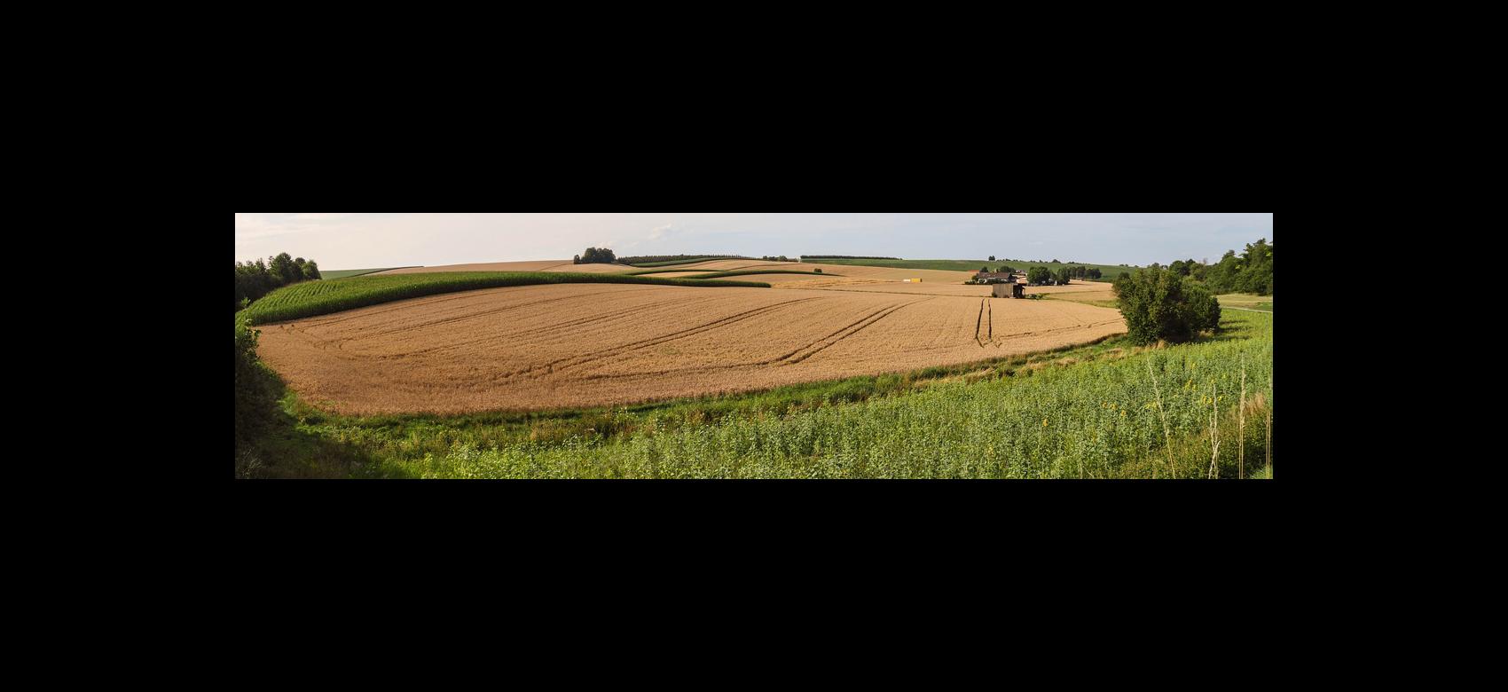 Image of farm fields