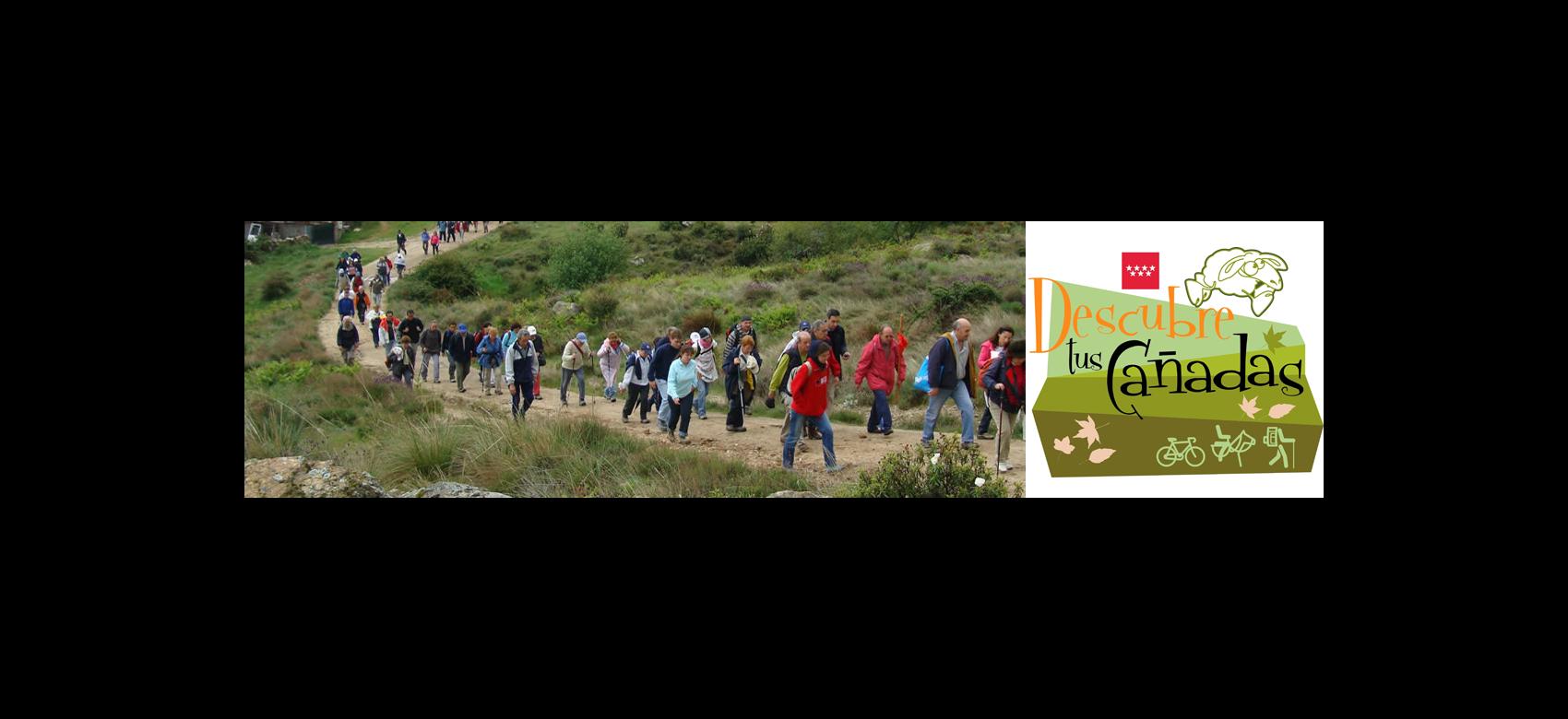 Image of groups of people through a livestock track