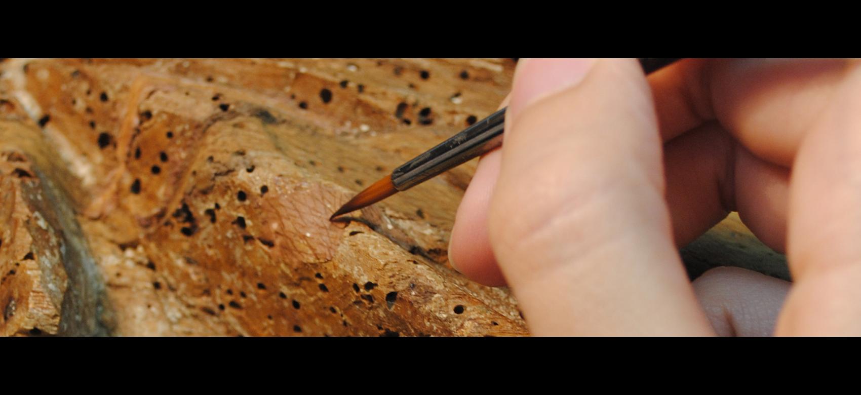 Detalle de proceso de restauración