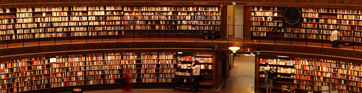 biblioteca_recortada