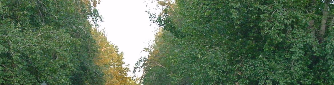 Parque del Buen Retiro de Madrid 