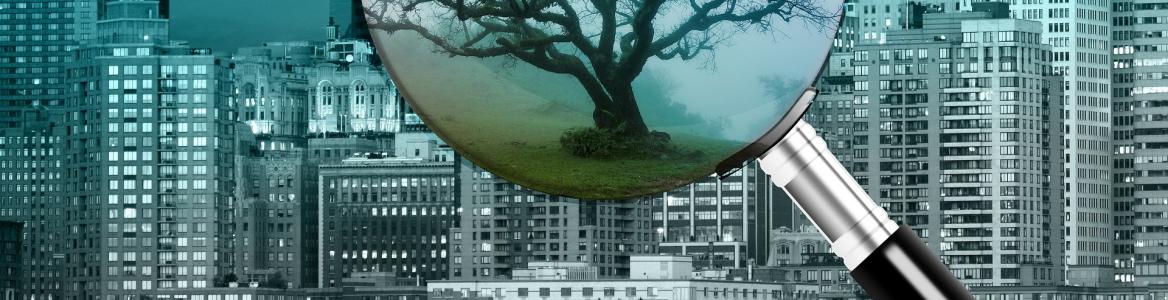 lupa sobre ciudad