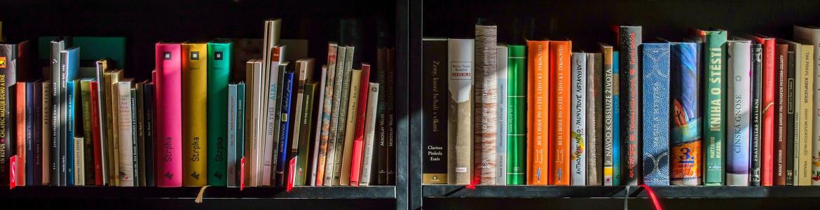 Libros Libros en estanterías
