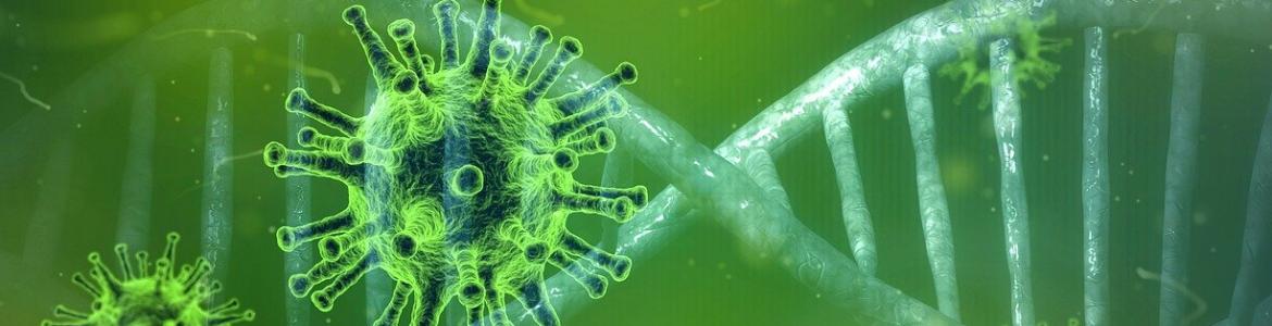 Coronavirus de color verde sobre fondo del mismo color con cadena de ADN