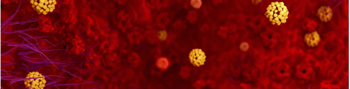 Nuevo coronavirus