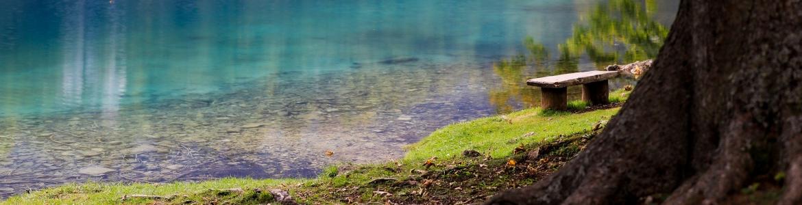 Lago azul desde la orilla con árboles en primer plano
