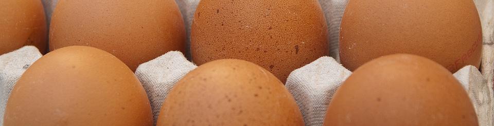 Huevos en una huevera