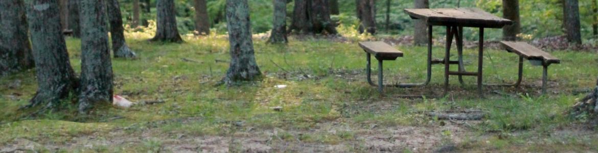 Mesa de picnic en un parque