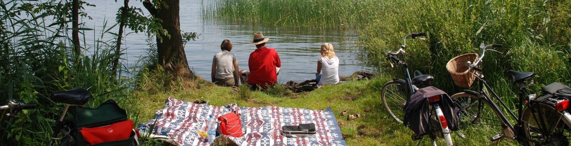 Imagen de una familia al borde de un lago en un picnic con platos preparados