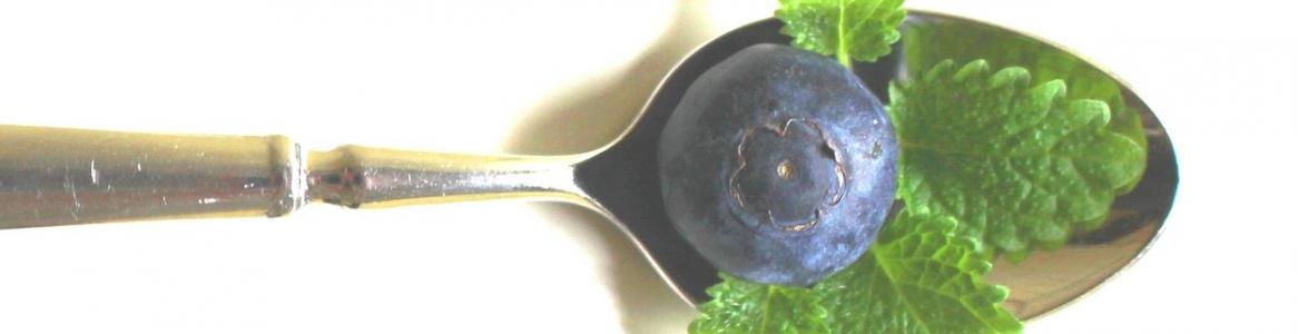 Cuchara con arándano