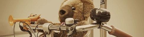 oso de peluche montado en bicicleta