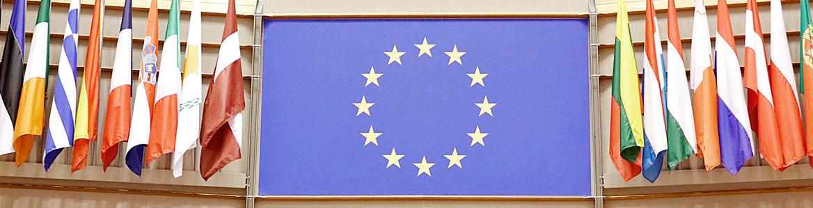 Banderas de los paises miembros de la UE y en el centro la de la UE