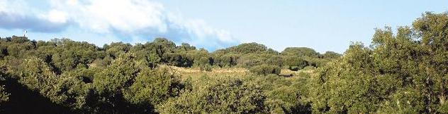 Parque Regional del curso medio del río Guadarrama y su entorno