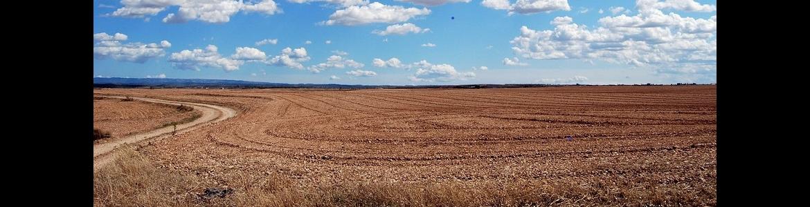 foto campo - horizonte