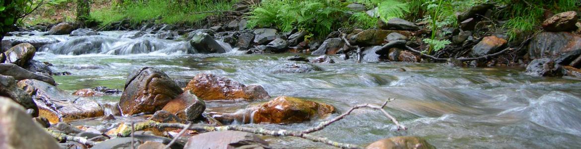 Reserva de la Biosfera Sierra del Rincón. Paisaje
