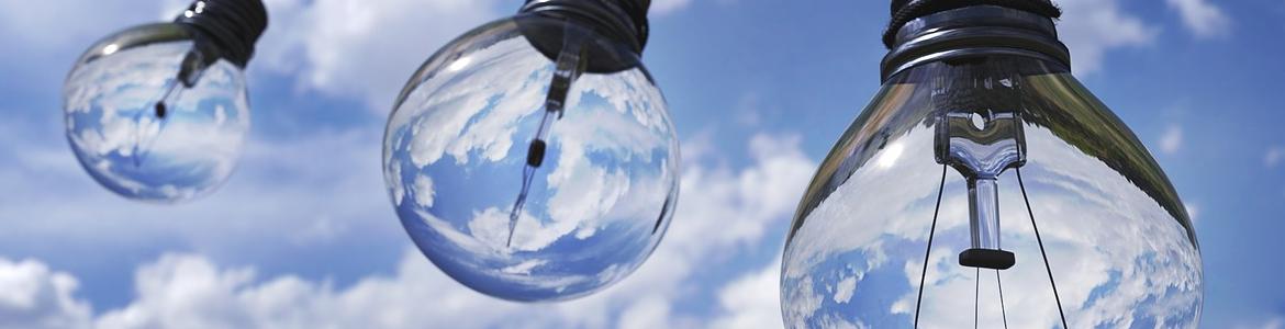 Bulbs