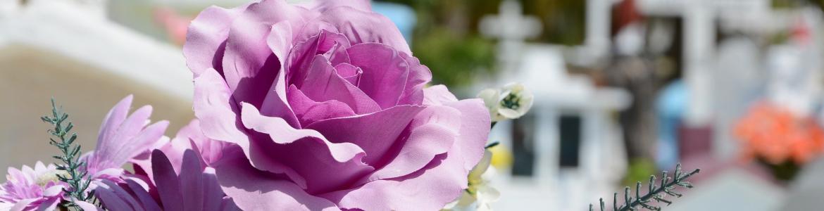 Flores en un cementerio
