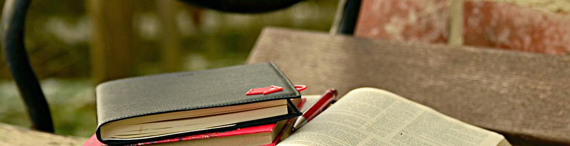 publicaciones conjunto de libros en un banco de un parque