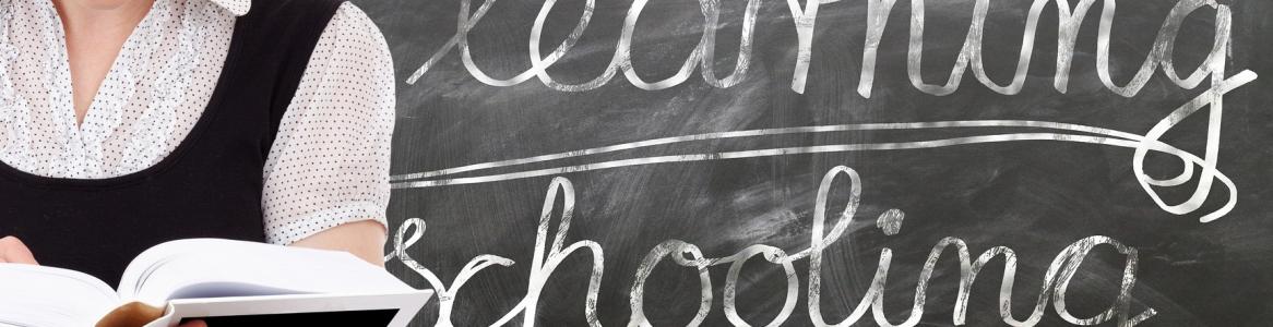 Docentes de etapas no universitarias