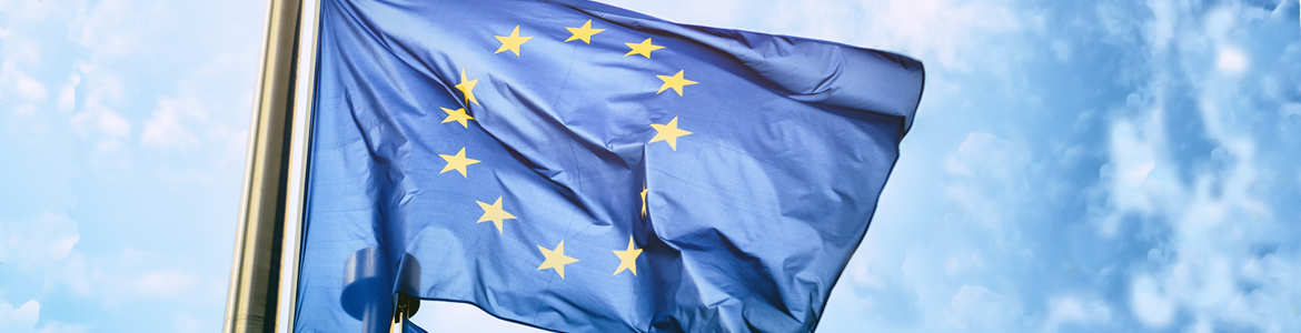 Imagen de Portada del informe EPSSCO con bandera de UE ondeando