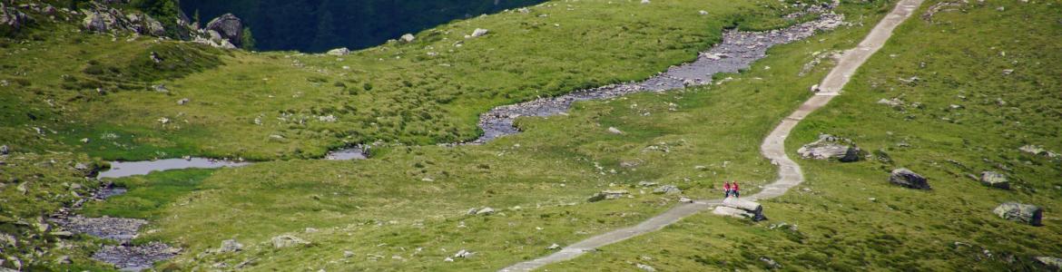 Prados de alta montaña con un camino