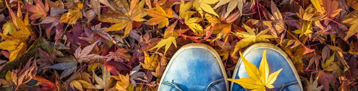 Zapatillas azules sobre hojas de otoño en el suelo