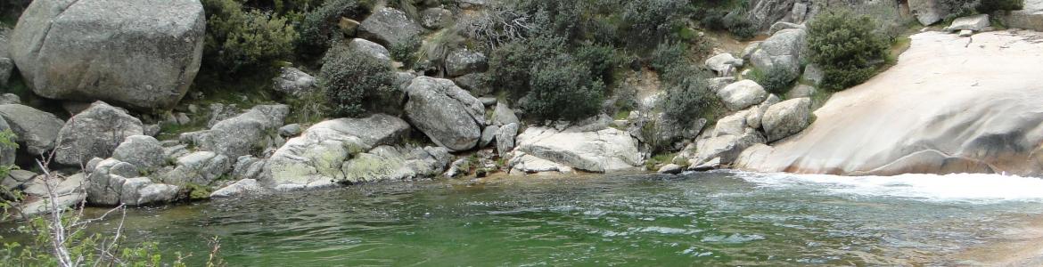 Imagen del agua de La Charca Verde