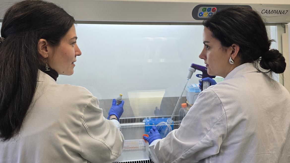 María Linares, investigadora principal, a la izquierda y Alba Rodríguez, autora primera ala derecha, en una campaña del laboratorio de Hematología del Hospital 12 de Octubre Dos profesionales con bata blanca trabajando en una camapana de laboratorio