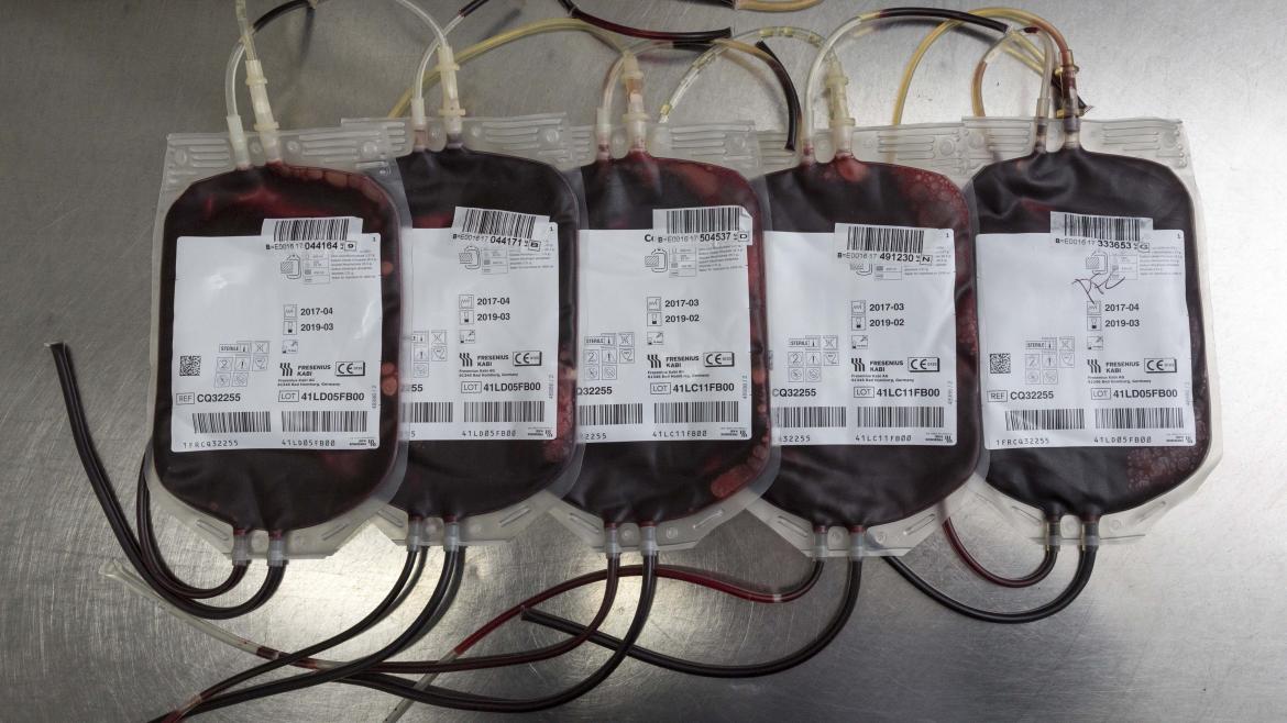 Bolsas de sangre de diferentes donantes