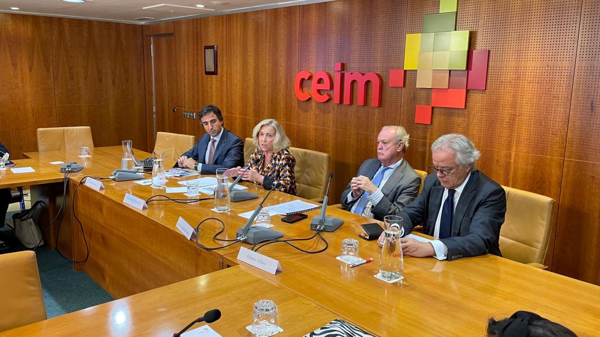 La consejera Concepción Dancausa durante su intervención