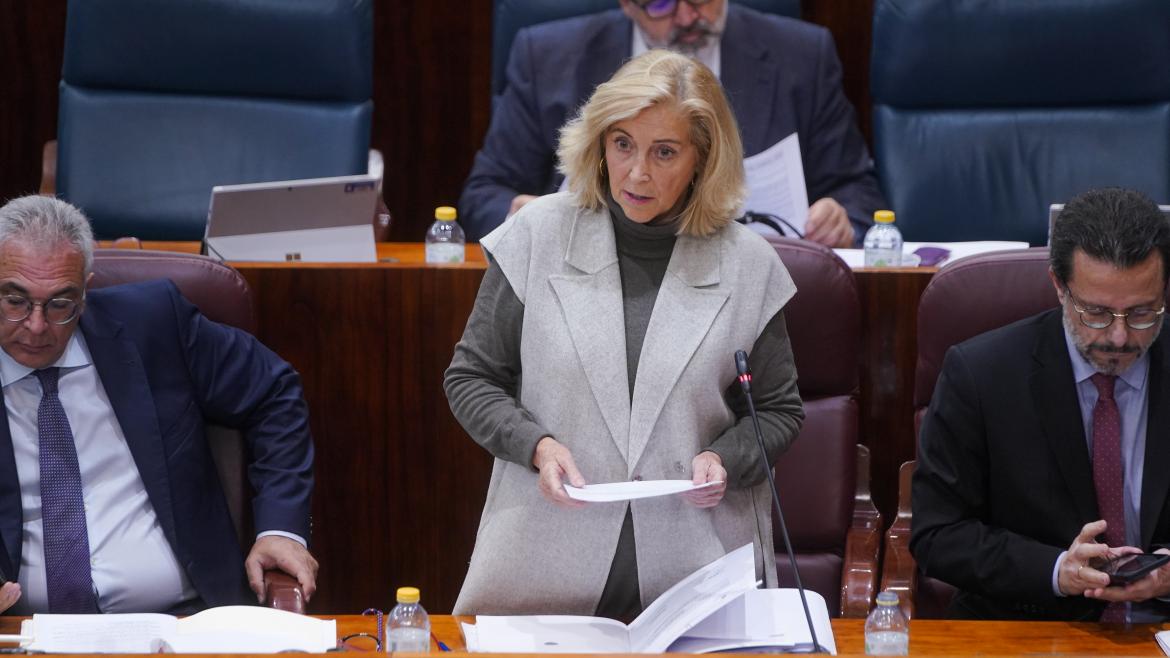 La consejera Concha Dancausa durante el pleno