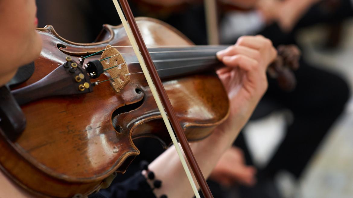 Violín