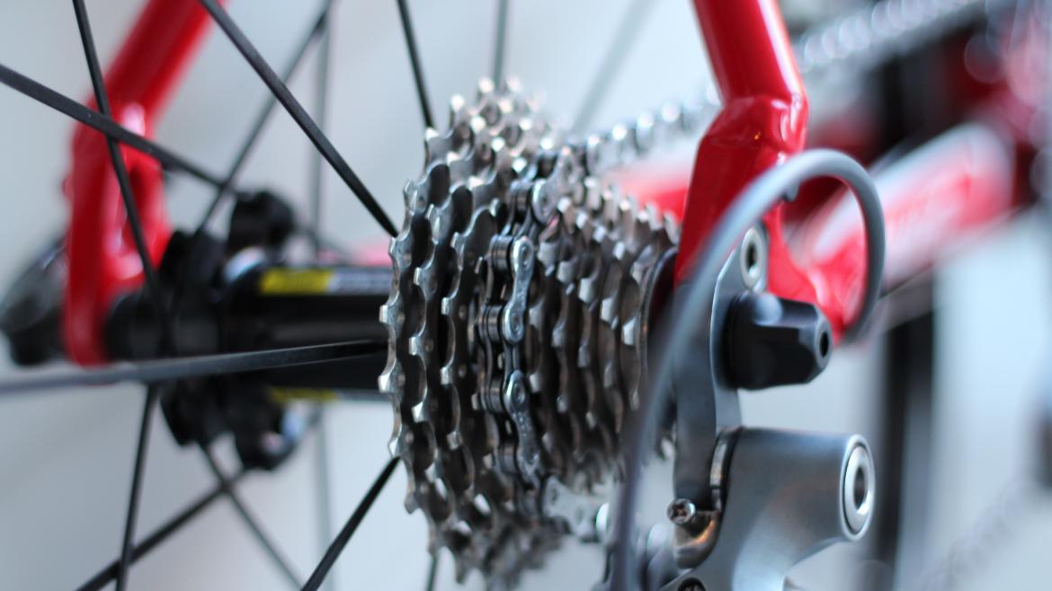 Piñones de bicicleta