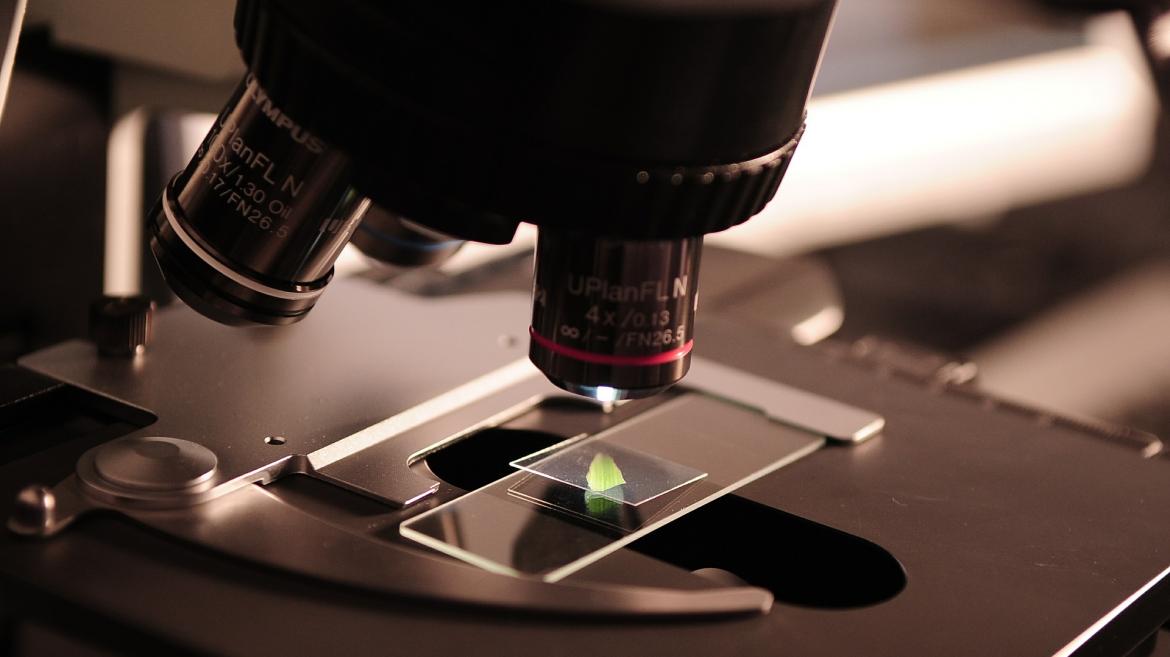 El estudio abre una nueva línea de investigación en la lucha contra las bacterias multirresistentes 