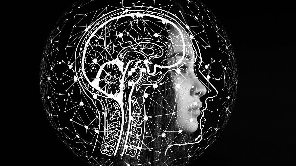 foto cerebro estim