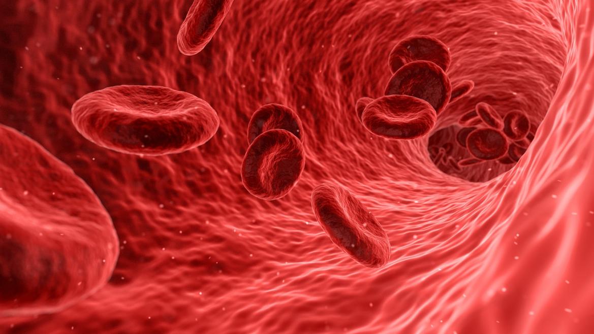 Glóbulos rojos