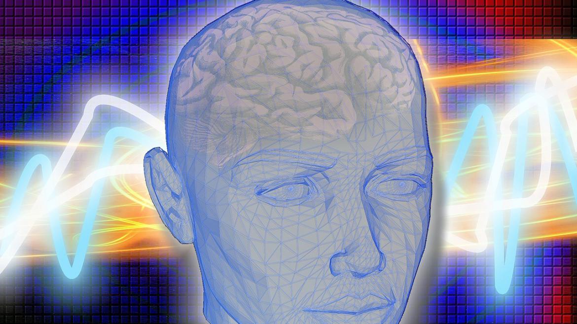Cerebro humano (dibujo)