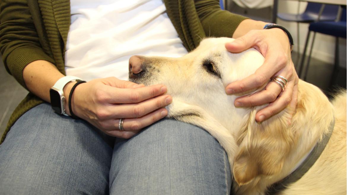 Programa de ocio asistido con animales en el Hospital Clínico San Carlos