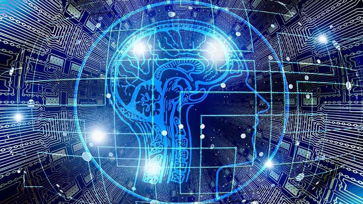 IMAGEN CEREBRO